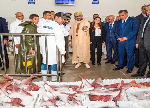  الملك يُدشن نقطة تفريغ مجهزة لمنتوجات البحر بإيموران نواحي أكادير 