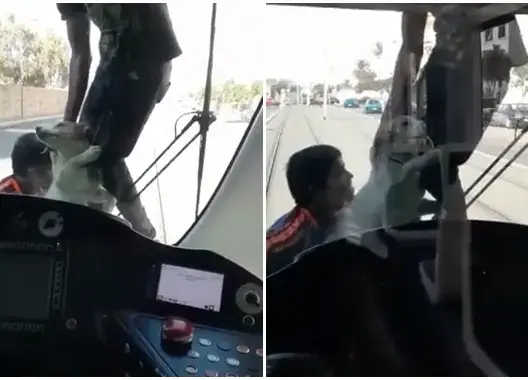 خطير .. مُراهقان يعرضان حياتهما للخطر بتسلق “ترامواي الرباط” (فيديو)