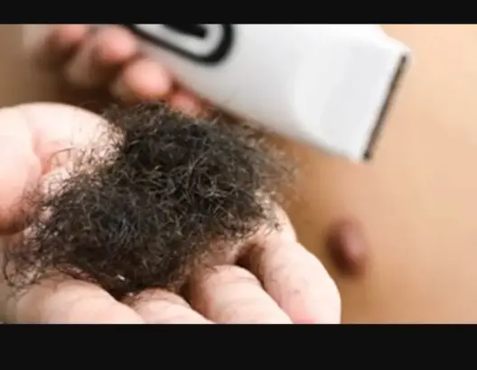 أفضل طريقة لإزالة شعر العانة في المناطق الحساسة وبطريقة آمنة..