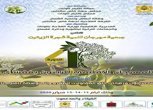 المهرجان الإقليمي للزيتون بغفساي ينطلق الشهر الجاري