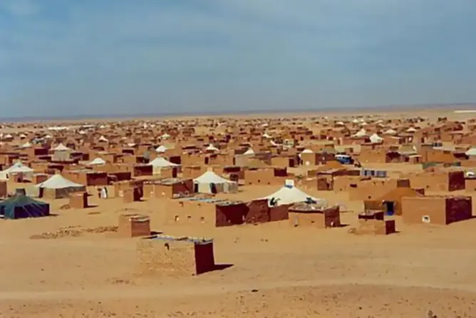 معتقل سابق لدى البوليساريو يفضح الجزائر أمام مجلس الأمن