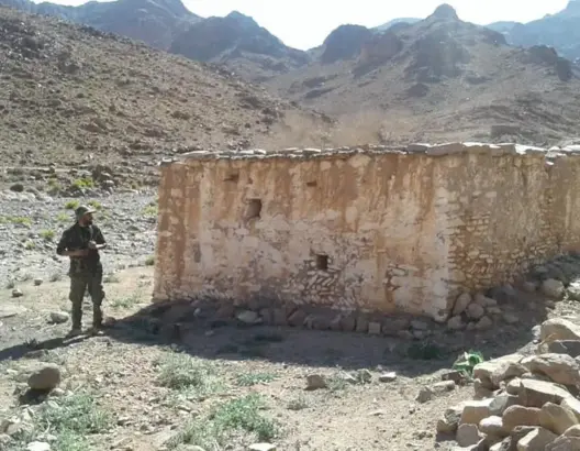 “خويا براهيم”.. من قاطع طريق إلى “ولي صالح” يستقطب ضريحه الزوار