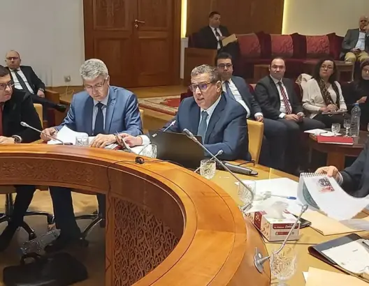 أخنوش: “الجيل الأخضر” سيوفر الحماية الاجتماعية لـ3.3 مليون فلاح بالمغرب