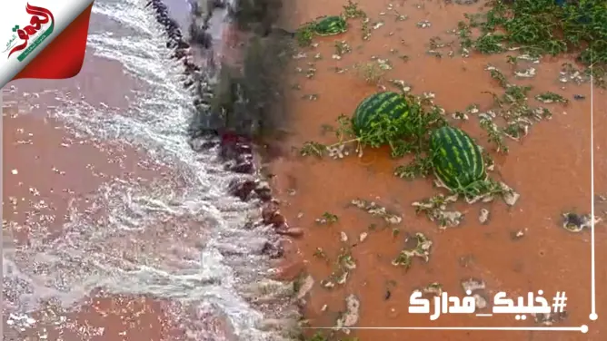أمطار غزيرة تنعش آمال الفلاحين بزاكورة
