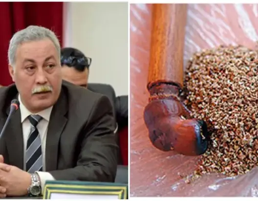 بسبب كورونا.. رئيس جماعة يحذر مستهلكي الكيف من تبادل “السبسي”
