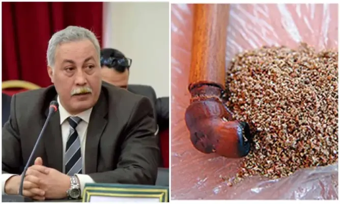 بسبب كورونا.. رئيس جماعة يحذر مستهلكي الكيف من تبادل “السبسي”