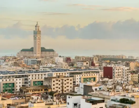 اجتثاث الأشجار يدفع بيضاويين لإطلاق حملة “غرس مليون شجرة”