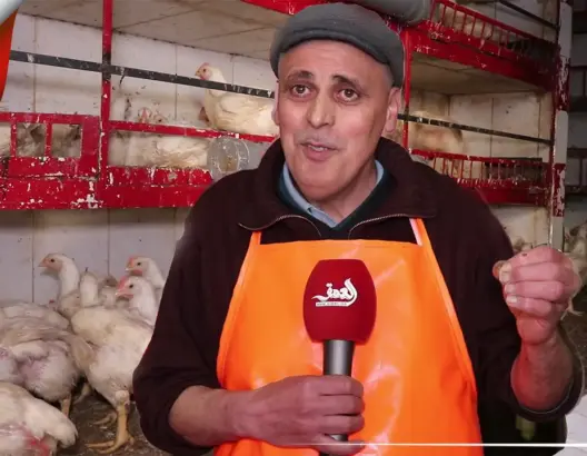 مهنيون يشرحون أسباب انخفاض أسعار الدجاج (فيديو)