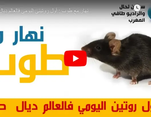 يوتوبر يسخر بطريقة كوميدية من أصحاب “روتيني اليومي” (فيديو)