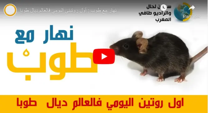 يوتوبر يسخر بطريقة كوميدية من أصحاب “روتيني اليومي” (فيديو)