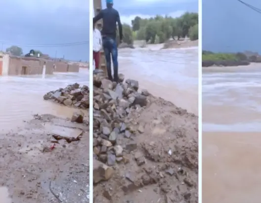 نفوق المواشي وانهيار المنازل.. هذه حصيلة خسائر فيضانات جماعة بقلعة السراغنة (صور وفيديو)