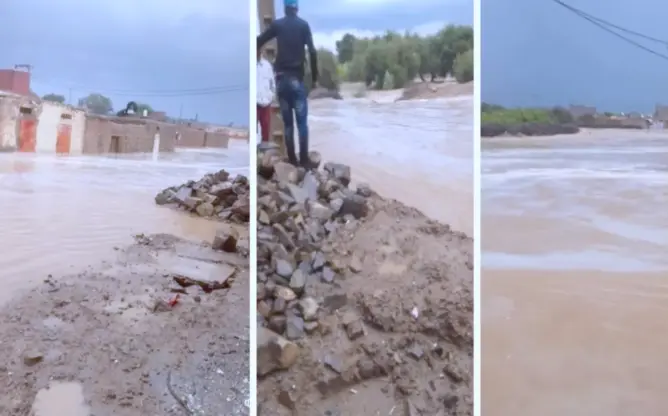 نفوق المواشي وانهيار المنازل.. هذه حصيلة خسائر فيضانات جماعة بقلعة السراغنة (صور وفيديو)
