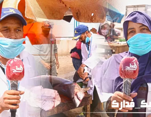 مهنيون بسلا: أزمة كورونا لم تنل من رواج بيع السمك ولم تؤثر على الأسعار