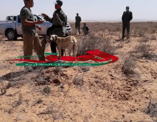 الصيد العشوائي للغزال يقود إلى توقيف شخصين بجبال تيزنيت