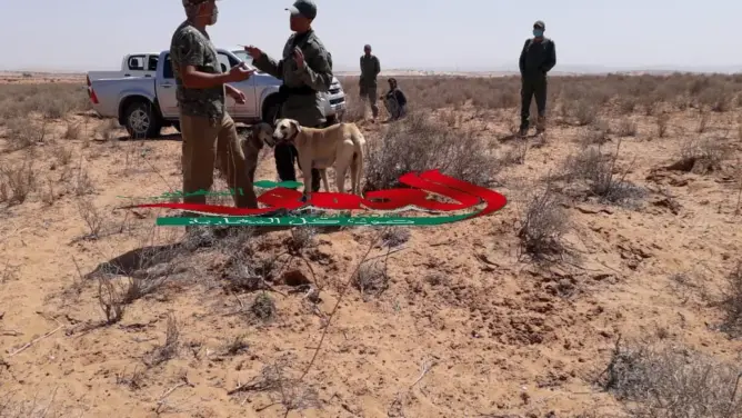 الصيد العشوائي للغزال يقود إلى توقيف شخصين بجبال تيزنيت