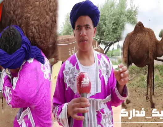 شاب من مرزوكة يحكي تجربته في تربية الإبل وفوائده الصحية على الإنسان (فيديو)