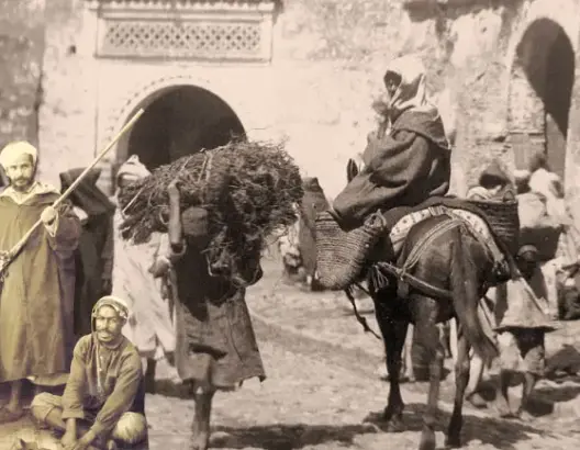 هكذا دخل التبغ للمغرب زمن السعديين.. وهذه قصة “السبسي” و”الشقف”