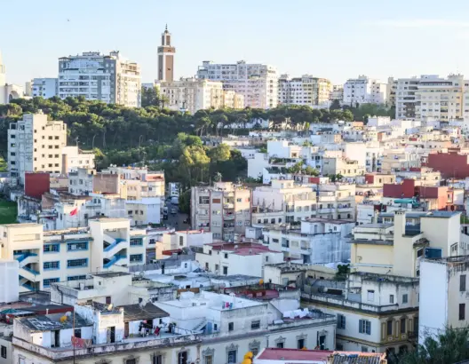 طنجويون يشكرون الأطر الصحية بإطلاق 500 حمامة في سماء “عروس الشمال” (فيديو)