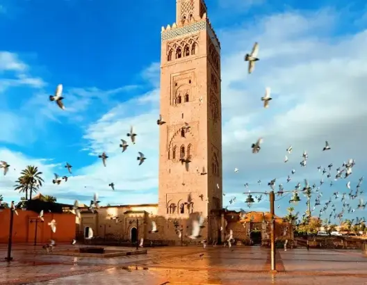 مسؤول: 32 حالة توفيت بجهة مراكش آسفي لحد الساعة.. وهذا سبب تزايد أعداد المصابين