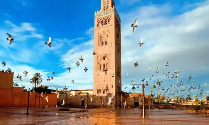 مراكش.. ايقونة 12