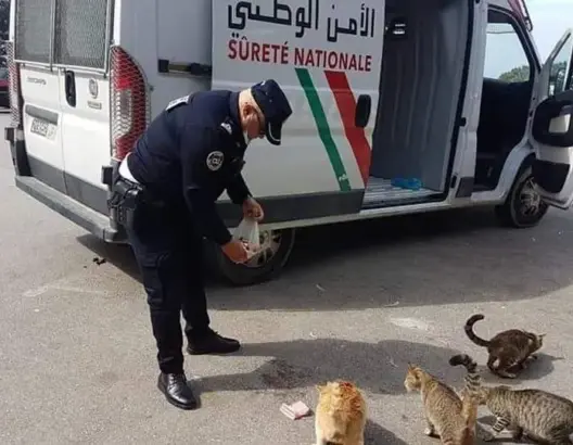 إشادات واسعة برجال أمن يُطعمون القطط في ظل الحجر الصحي (صور)