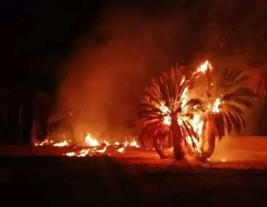 اندلاع حريق بواحة “إميتك” ضواحي طاطا