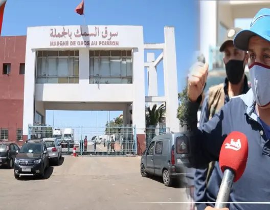 باعة السمك يعددون خسائرهم بعد إغلاق سوق الجملة بالبيضاء بسبب كورونا (فيديو)
