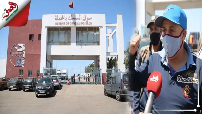 باعة السمك يعددون خسائرهم بعد إغلاق سوق الجملة بالبيضاء بسبب كورونا (فيديو)