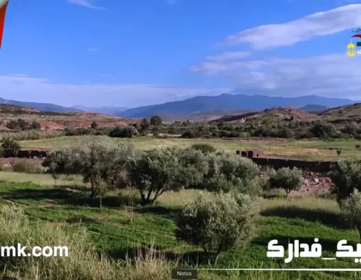 أثناء الحجر الصحي.. طبيعة سيدي رحال تتجمل بوشاح أخضر ومياه جارية (فيديو)