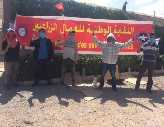 في عز أزمة كورونا .. شركة فلاحية تطرد عمالا بسبب انتمائهم النقابي باشتوكة