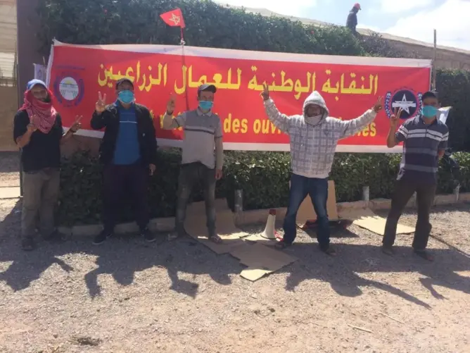 في عز أزمة كورونا .. شركة فلاحية تطرد عمالا بسبب انتمائهم النقابي باشتوكة