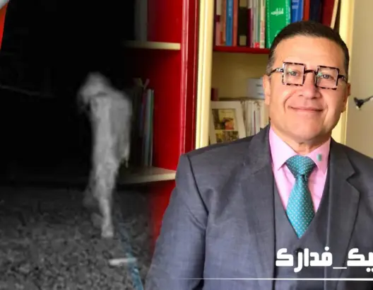 مبروكي: الجن والعفاريت مجرد خرافات تشكل خطرا على الصحة العقلية والنفسية للمواطنين (فيديو)