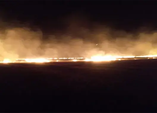 نجا منه دركيون بأعجوبة.. حريق يلتهم 15 هكتارا من المحاصيل الزراعية بسبع عيون