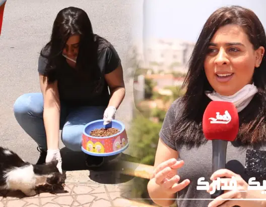 معاناة الحيوانات بالشوارع في زمن كورونا بين نقص القوت والمبادرات الإنسانية (فيديو وصور)