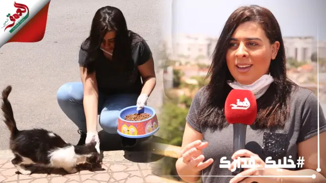 معاناة الحيوانات بالشوارع في زمن كورونا بين نقص القوت والمبادرات الإنسانية (فيديو وصور)