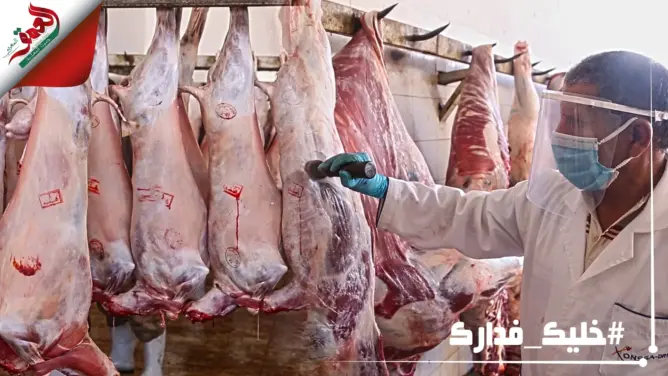 المسلخ البلدي بسلا .. هكذا تتم عملية الذبح في زمن “كورونا” (فيديو)