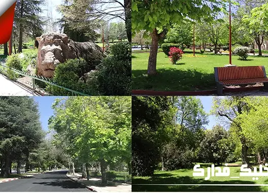مناظر طبيعية ساحرة وخلابه في جولة رمضانية بإفران (فيديو)