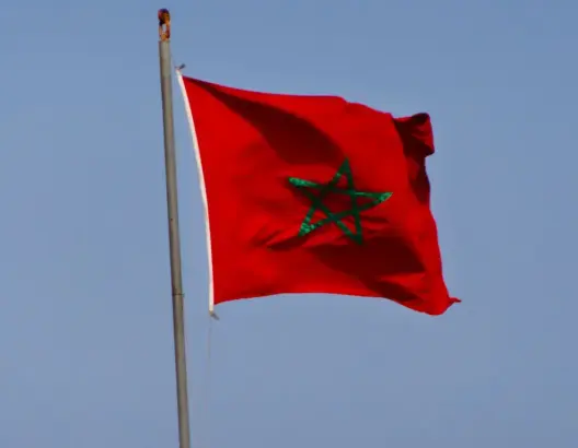مغاربة يحرزون ثلاث ميداليات في مسابقة دولية للاختراعات بسنغافورة (صورة)