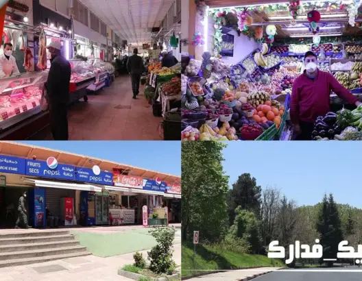 جولة بالسوق المركزي لإفران .. تموين كاف واستقرار في الأسعار (فيديو)