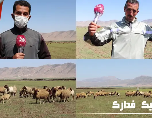 بسبب كورونا.. إغلاق الأسواق يهدد سلالة تيمحضيت وتأثر في اقتصاد المنطقة (فيديو)