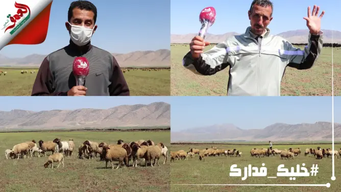 بسبب كورونا.. إغلاق الأسواق يهدد سلالة تيمحضيت وتأثر في اقتصاد المنطقة (فيديو)