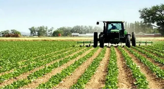 خبراء ومهنيون يبرزون تحديات الفلاحة المسقية بالمغرب ويقترحون الحلول