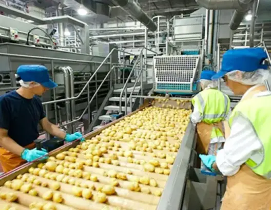 البحث عن عمال في الصناعات الغذائية بمدينة الدار البيضاء