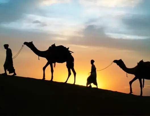 الإشارات السياسية في قصة موسى .. الهجرة دعوةٌ ربانية من أجل حياة جديدة