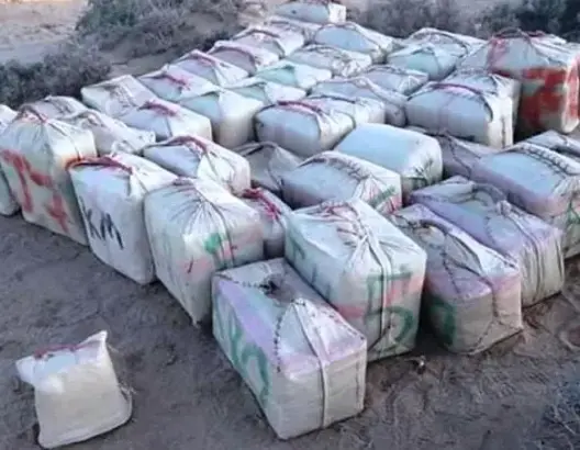 الجيش المغربي يحبط محاولة تهريب أطنان من المخدرات نحو أوروبا