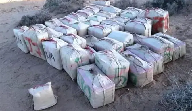 الجيش المغربي يحبط محاولة تهريب أطنان من المخدرات نحو أوروبا