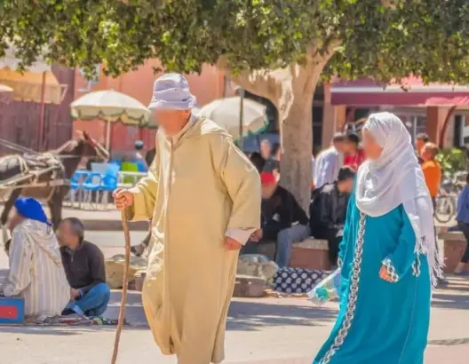 الحكومة تصادق على مراسيم لخلق منظومة تقاعد من قطبين بالقطاع العام والخاص