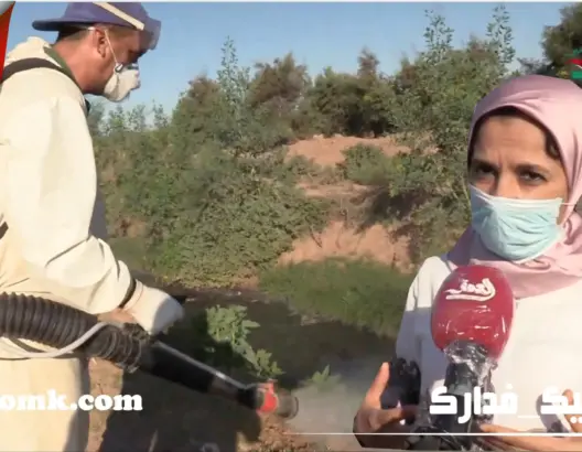 رحلة محاربة البعوض بضفة واد سوس بإنزكان: مبيدات وأقراص كل خميس (فيديو)