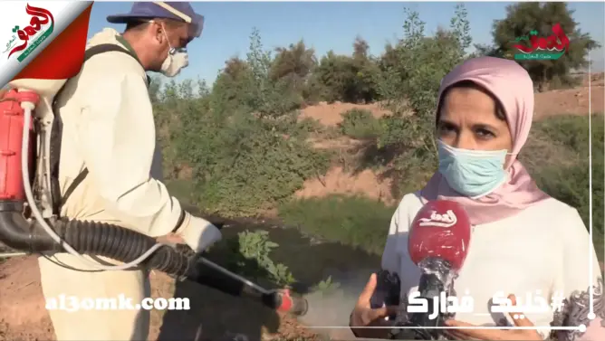 رحلة محاربة البعوض بضفة واد سوس بإنزكان: مبيدات وأقراص كل خميس (فيديو)