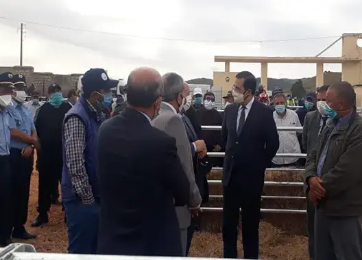 لتجاوز تداعيات كورونا على الفلاحة .. افتتاح سوق نموذجي للمواشي بأزرو